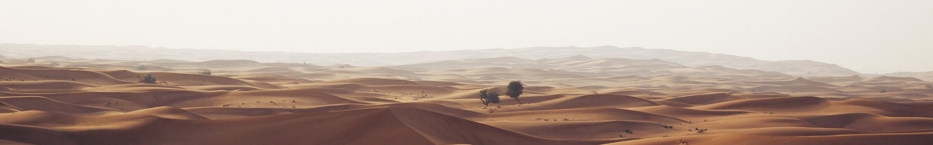 ضܽƷ޹˾